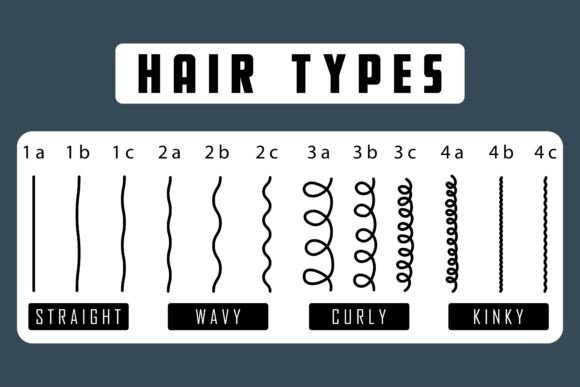 Hair Types Chart Guide Illustration: A Versatile Design Tool for Modern Creatives